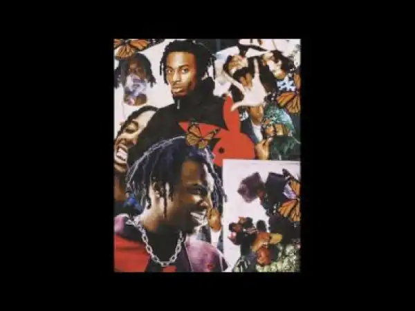 Playboi Carti - No Charm